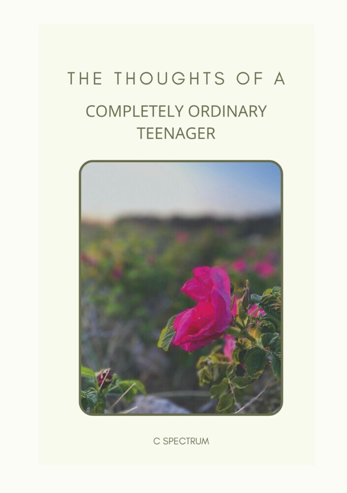 The Thoughts of a Completely Ordinary Teenager main product photo