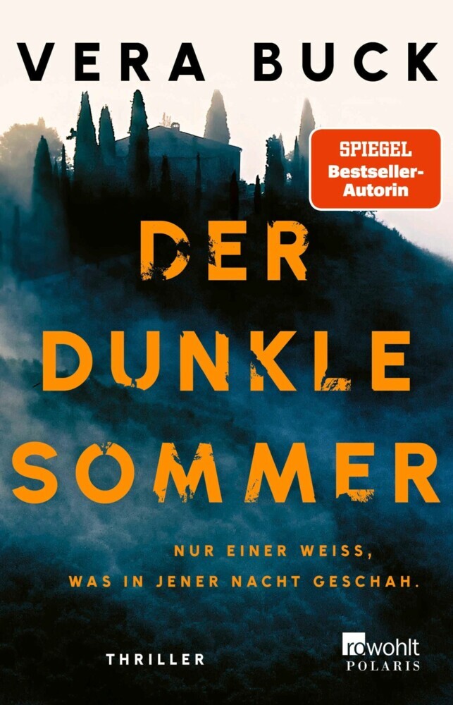 Der dunkle Sommer main product photo