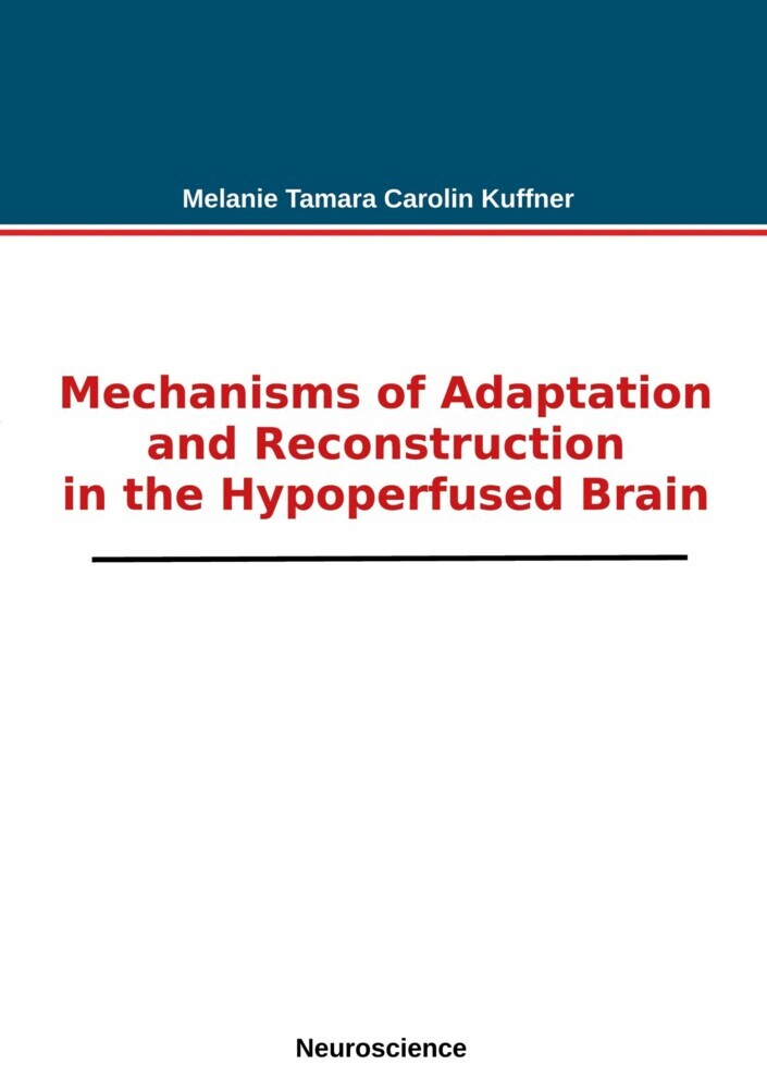 Mechanisms of Adaptation and Reconstruction in the Hypoperfused Brain main product photo