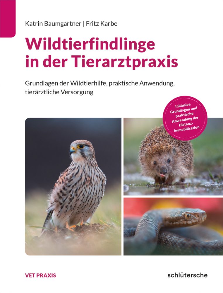 Wildtierfindlinge in der Tierarztpraxis main product photo