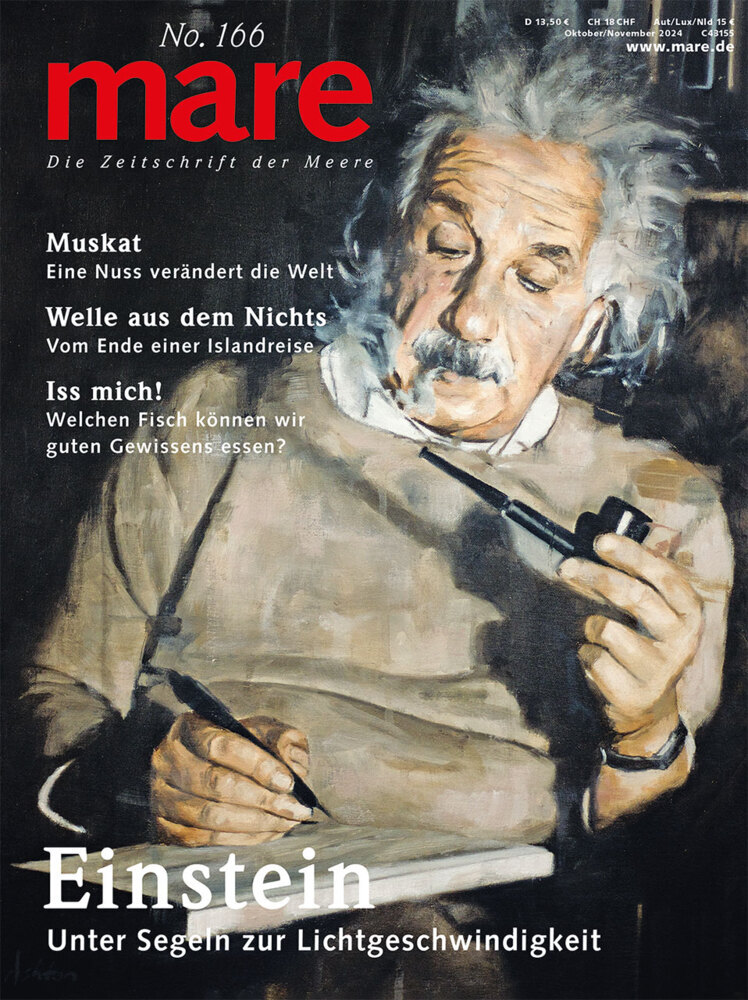 mare - Die Zeitschrift der Meere / No. 166 / Einstein main product photo