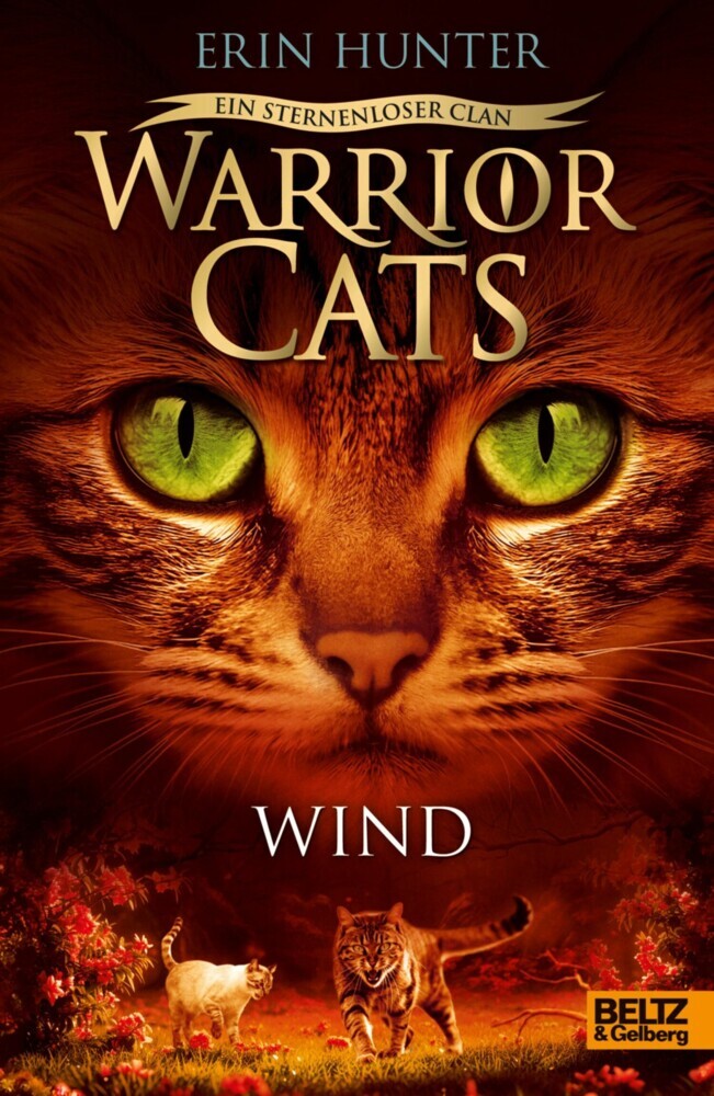Warrior Cats - Ein sternenloser Clan. Wind main product photo