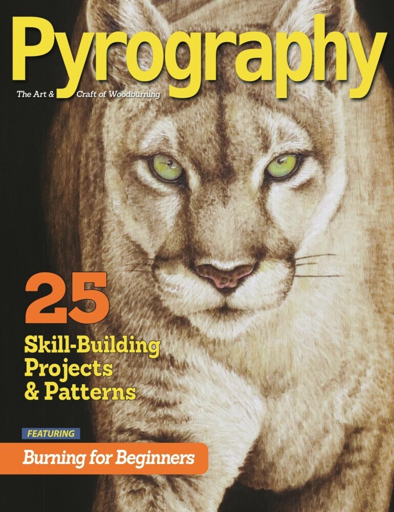 Pyrography Special Edition main product photo