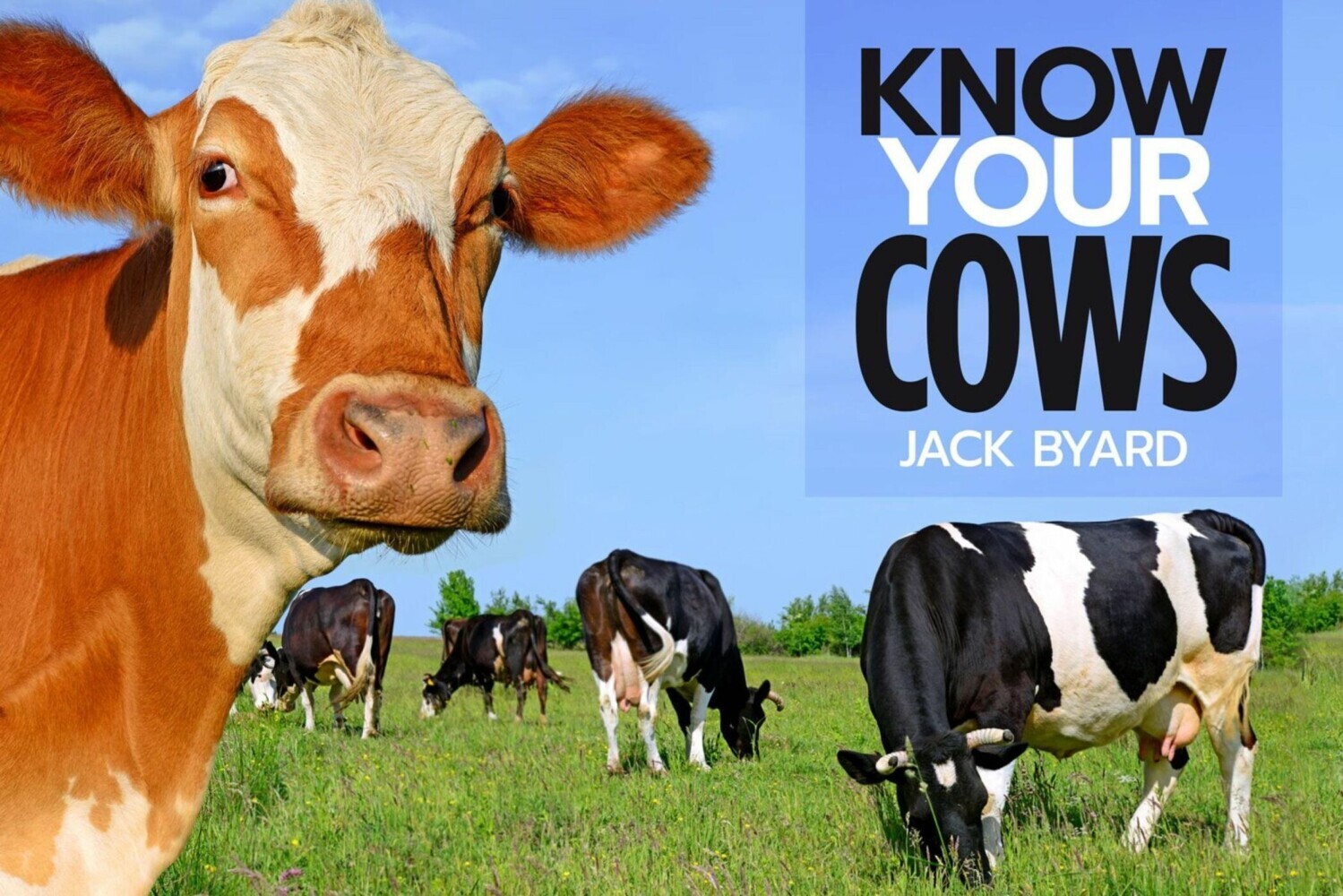 Know Your Cows main product photo