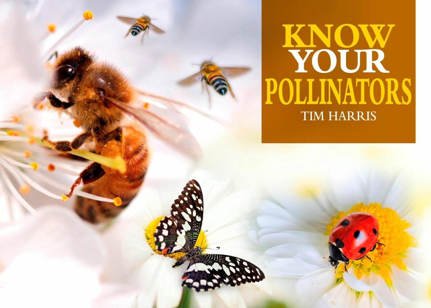 Know Your Pollinators main product photo