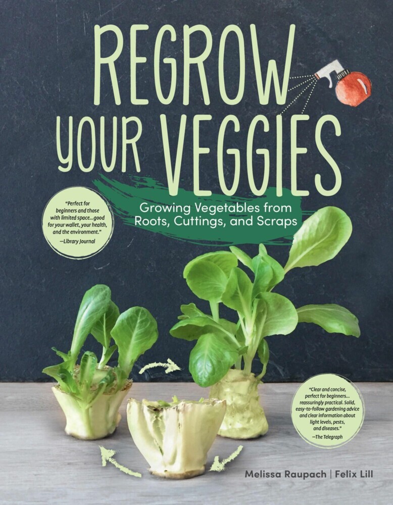 Regrow Your Veggies main product photo