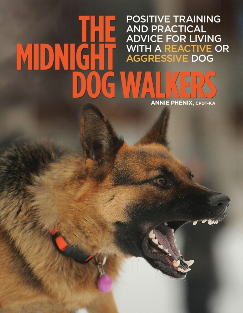 The Midnight Dog Walkers main product photo