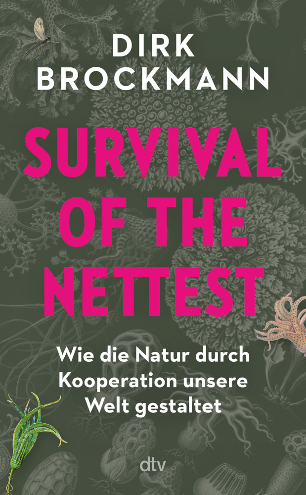 Survival of the Nettest main product photo