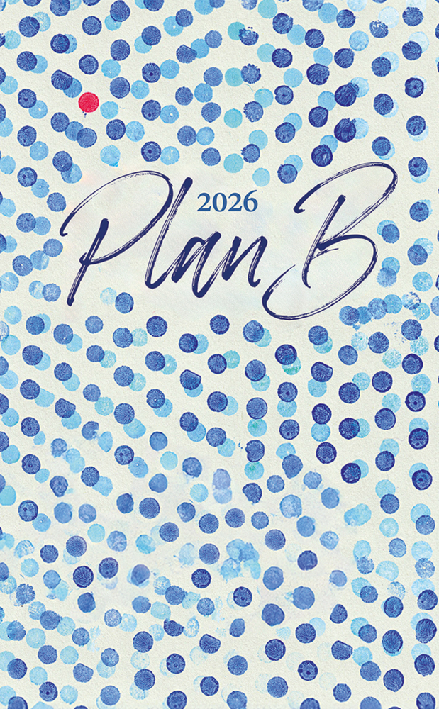Plan B main product photo