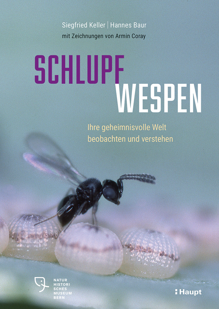 Schlupfwespen main product photo