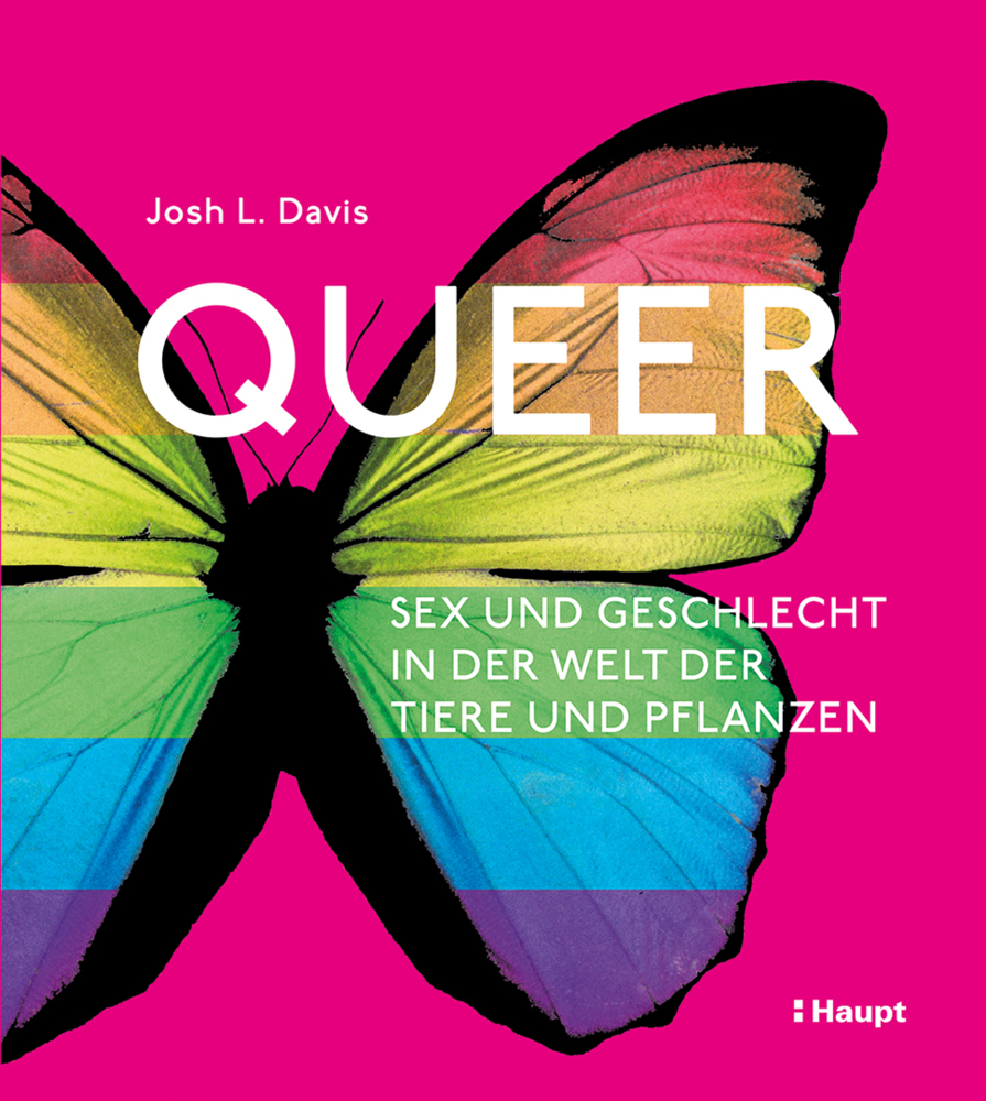 Queer main product photo