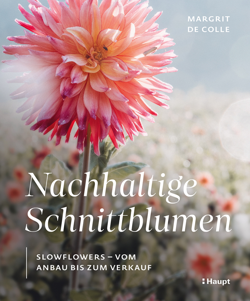 Nachhaltige Schnittblumen main product photo