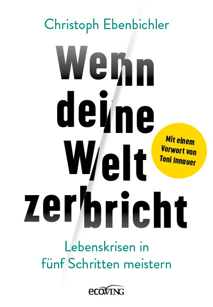 Wenn deine Welt zerbricht main product photo