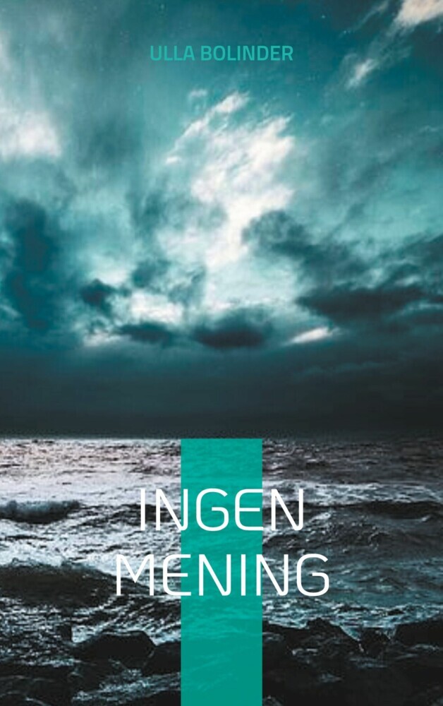 Ingen mening main product photo