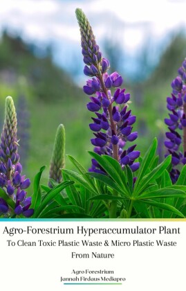 Agro-Forestrium Hyperaccumulator Plant To Clean Toxic Plastic Waste & Micro Plastic Waste From Nature