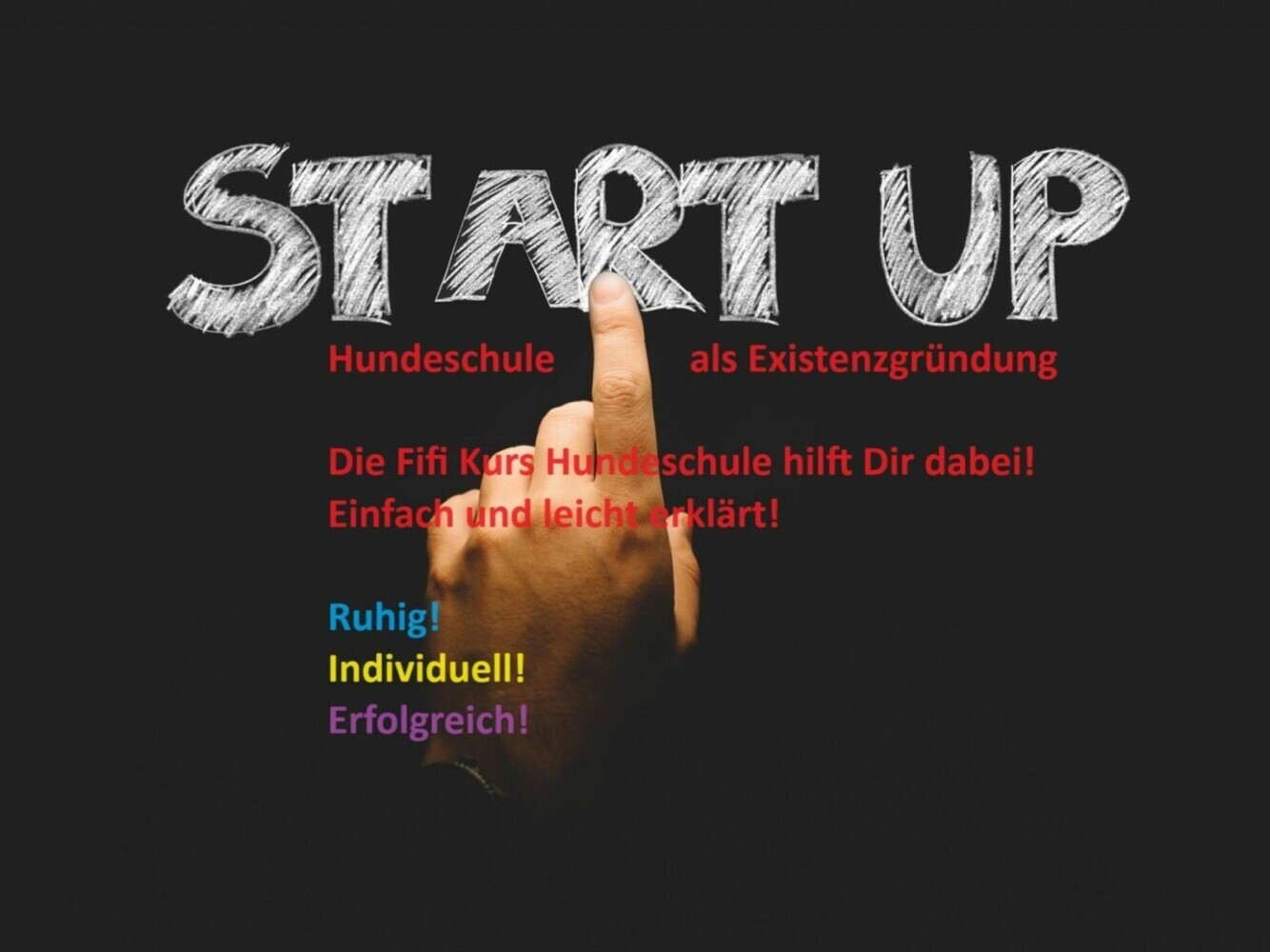 Hundeschule als Existensgründung main product photo