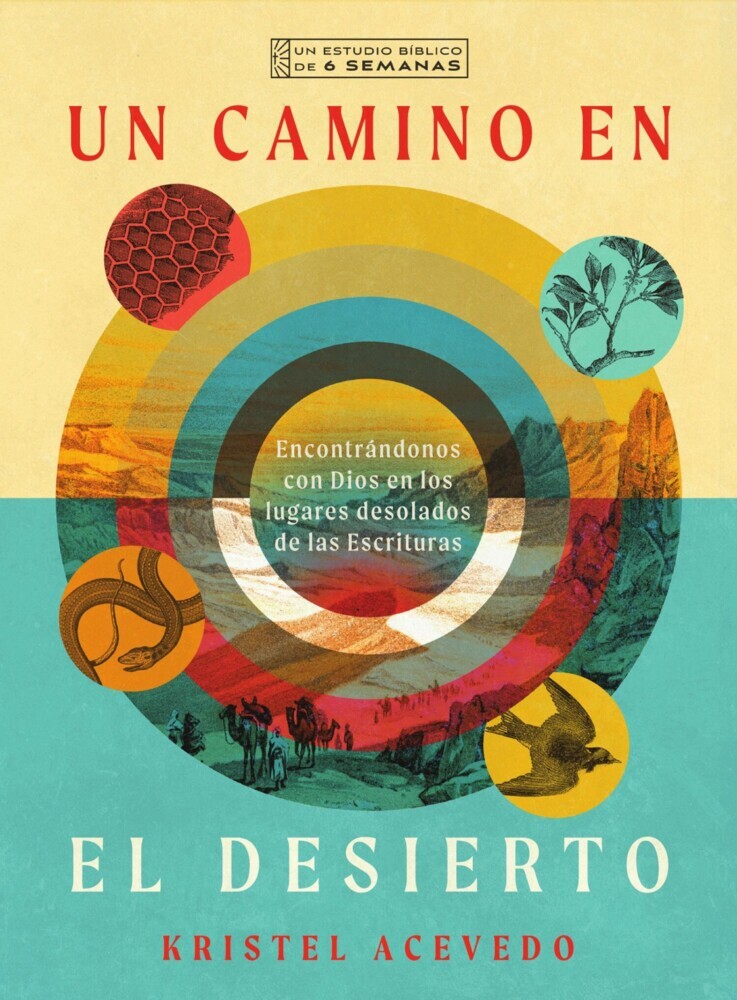 Un camino en el desierto main product photo