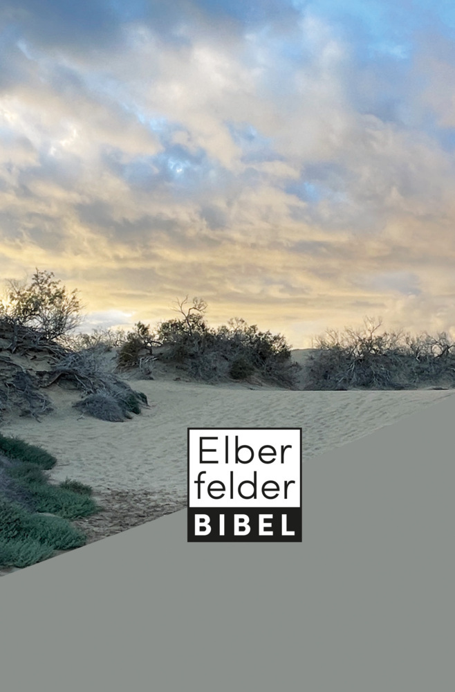 Elberfelder Bibel - Taschenausgabe, Motiv Dünen main product photo