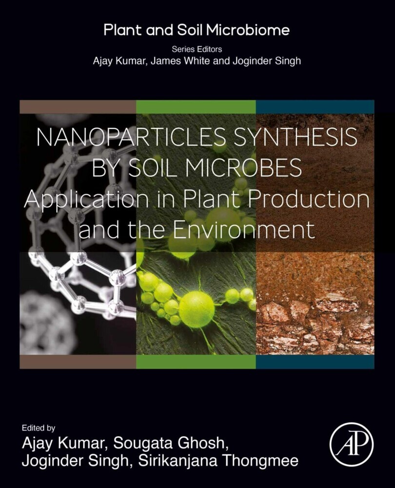 Nanoparticles Synthesis by Soil Microbes main product photo