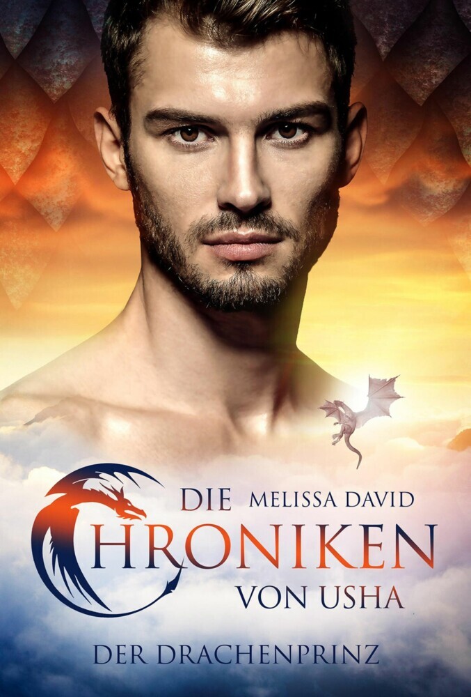 Die Chroniken von Usha - Der Drachenprinz main product photo