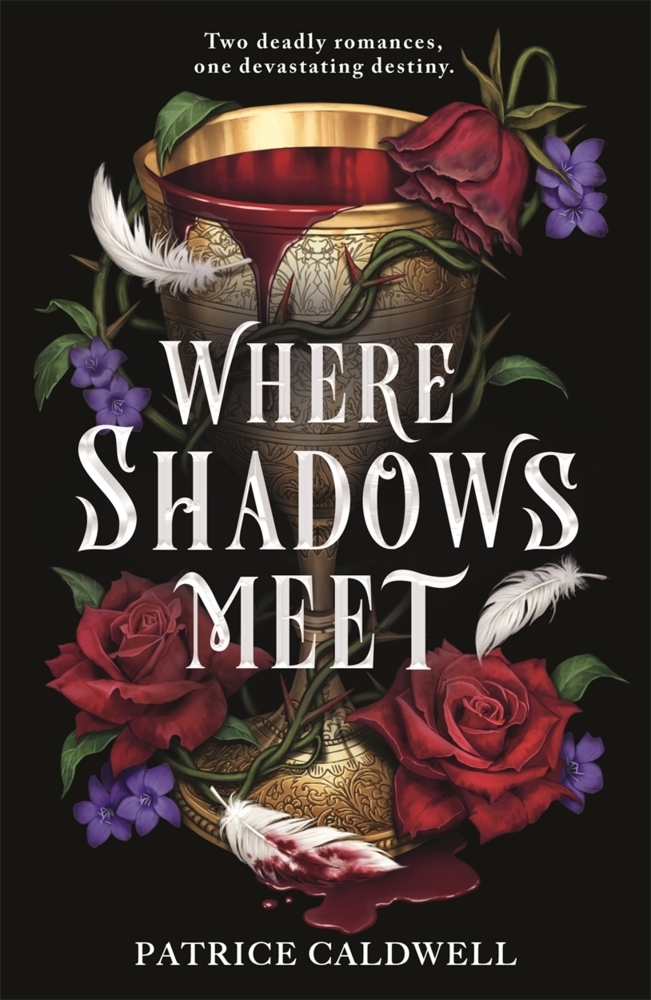 Where Shadows Meet main product photo
