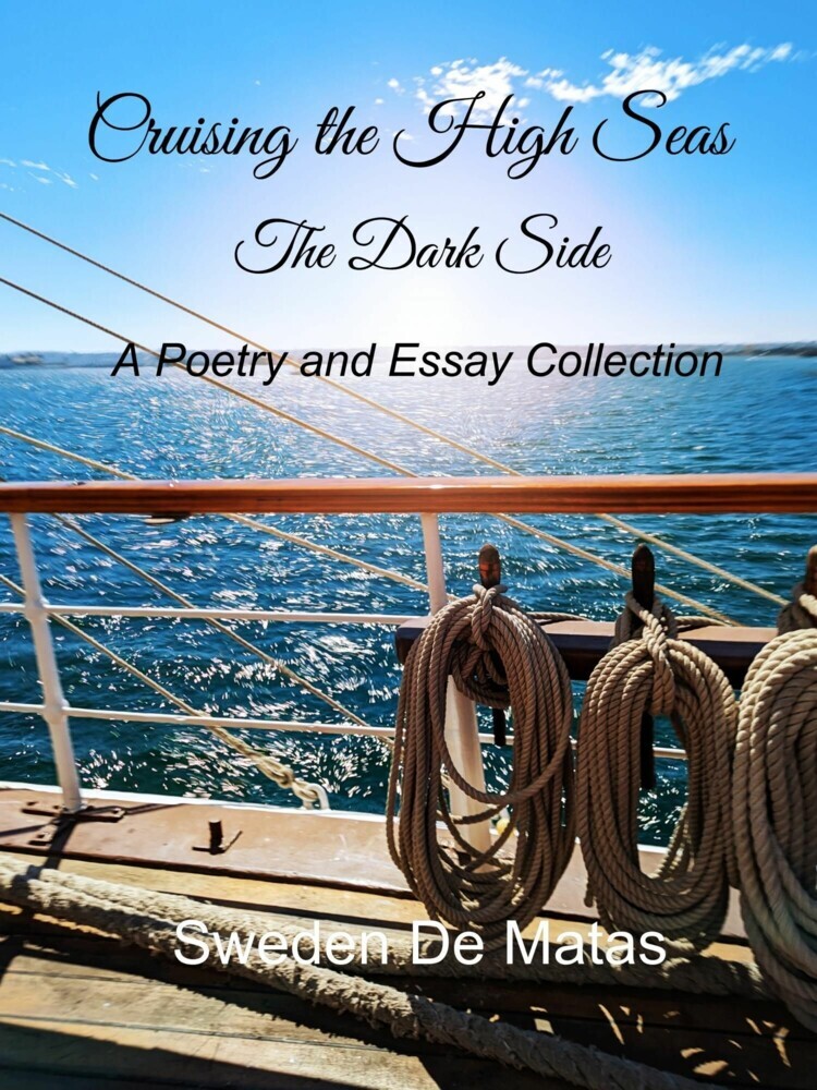 Cruising the High Seas The Dark Side main product photo