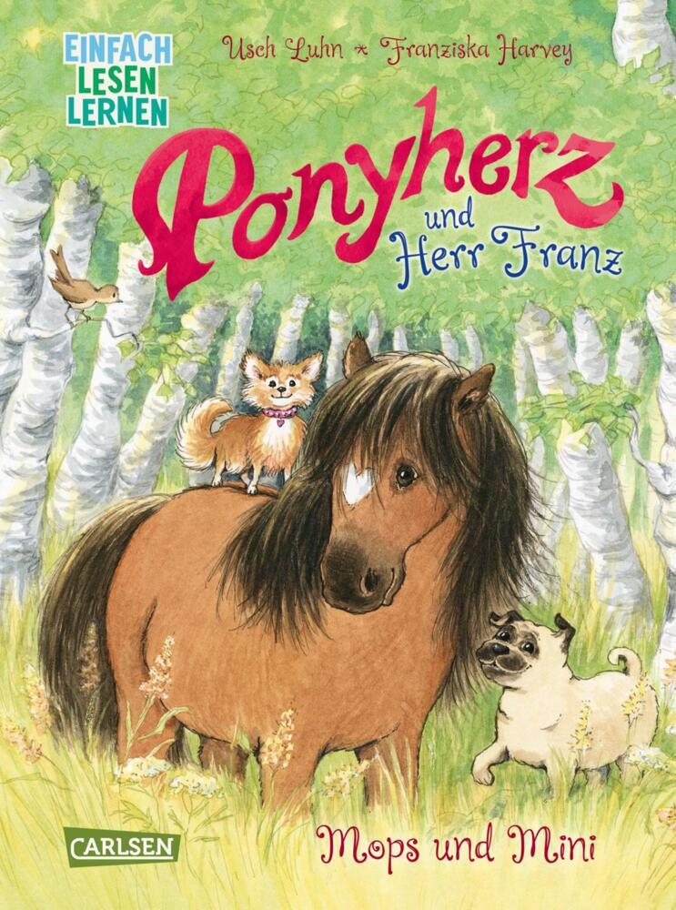 Ponyherz und Herr Franz: Mops und Mini main product photo