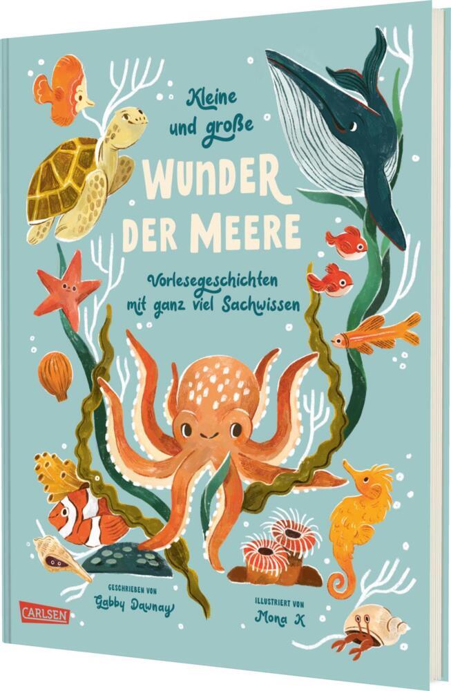 Kleine und große Wunder der Meere main product photo