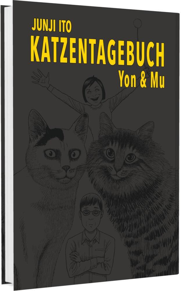 Junji Itos Katzentagebuch main product photo