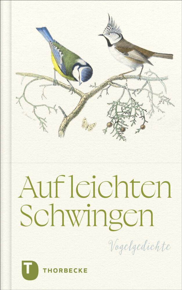 Auf leichten Schwingen main product photo