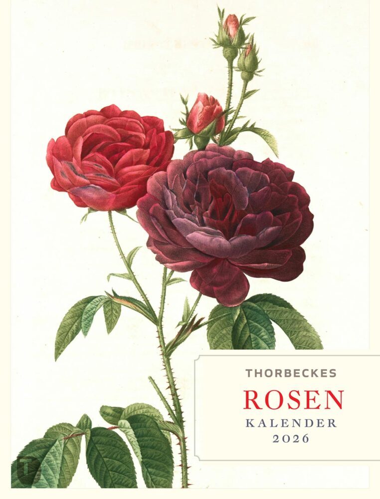 Thorbeckes Rosen-Kalender 2026 main product photo