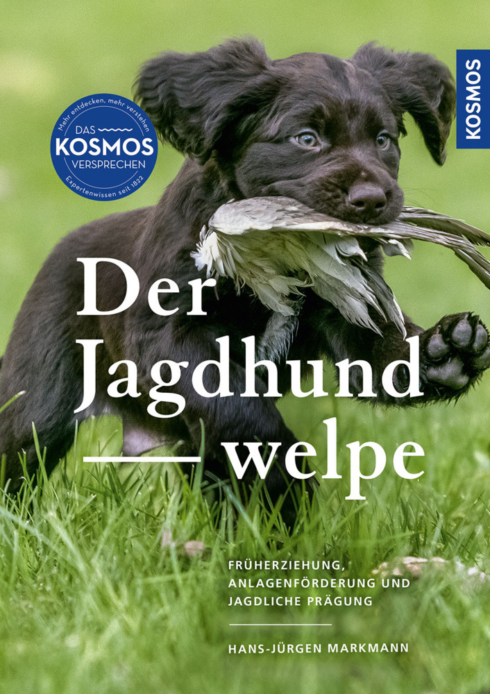 Der Jagdhundwelpe main product photo