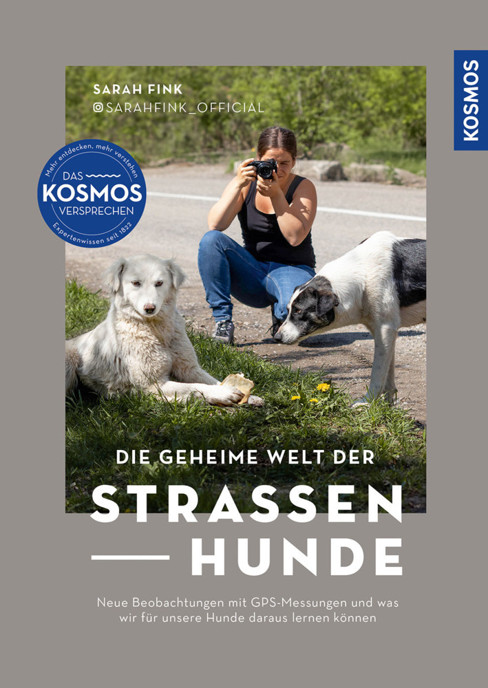 Die geheime Welt der Straßenhunde main product photo