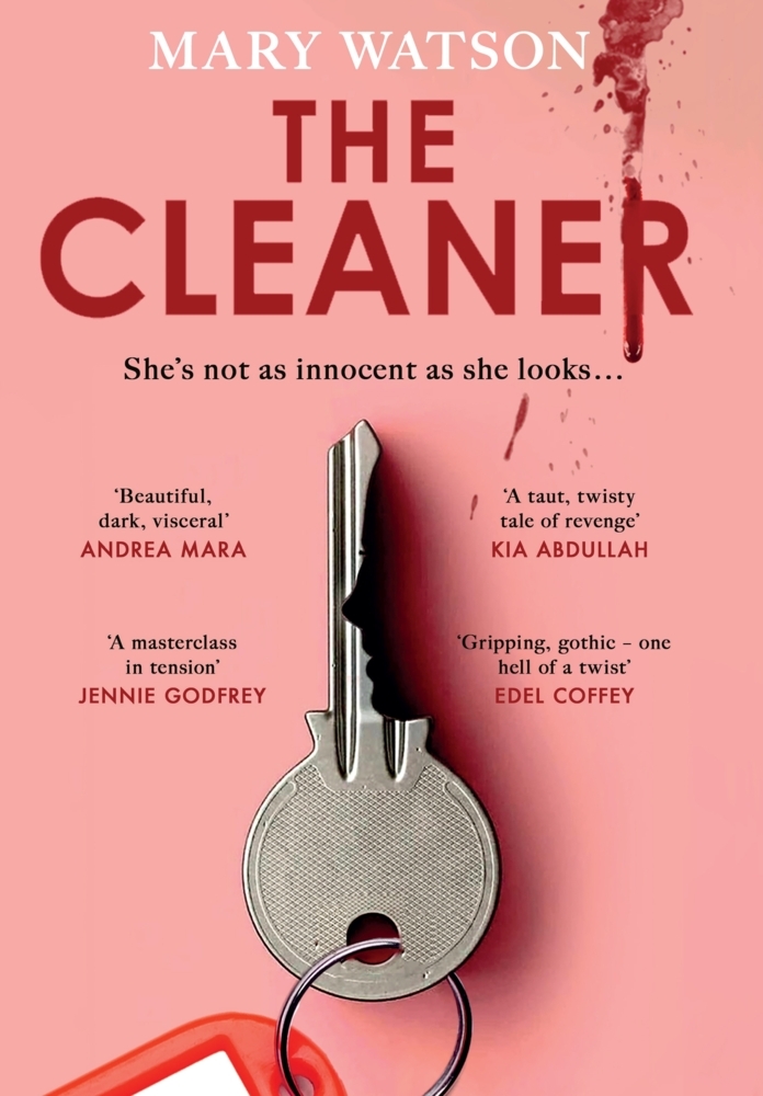 The Cleaner main product photo