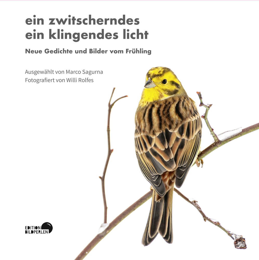 ein zwitscherndes ein klingendes licht main product photo