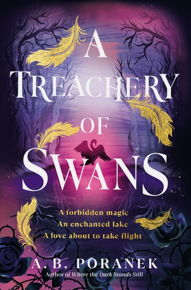 A Treachery of Swans main product photo