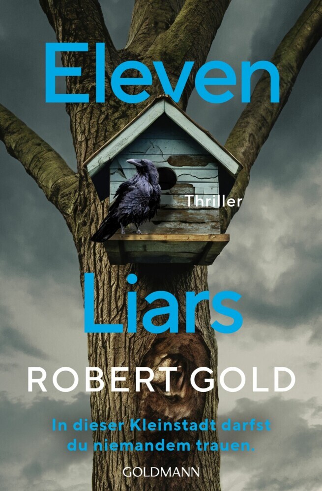 Eleven Liars main product photo
