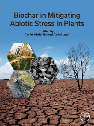 Biochar in Mitigating Abiotic Stress in Plants