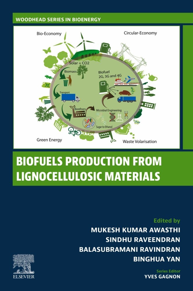 Biofuels Production from Lignocellulosic Materials main product photo