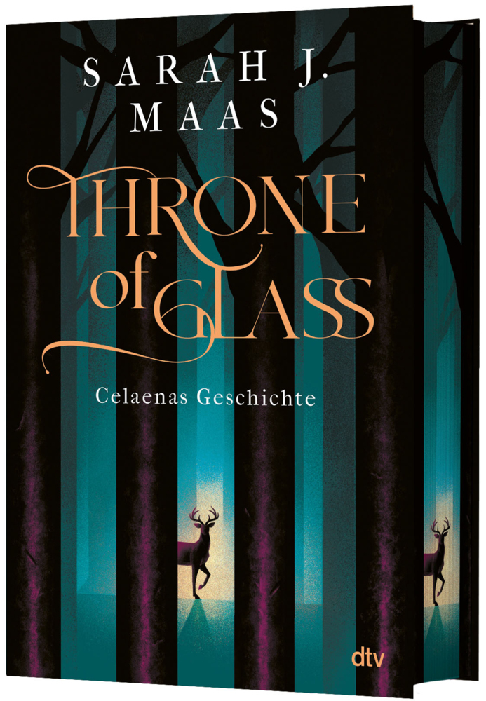 Throne of Glass - Celaenas Geschichte main product photo