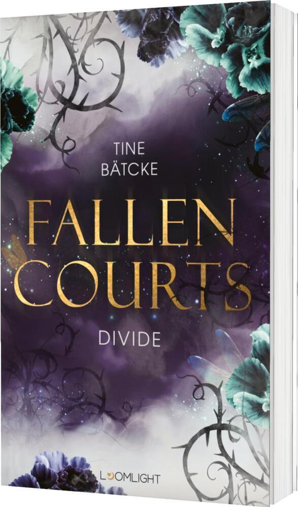 Fallen Courts 2: Divide main product photo