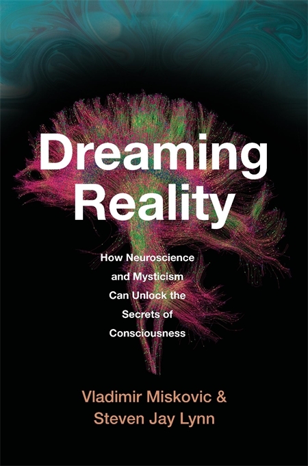 Dreaming Reality main product photo