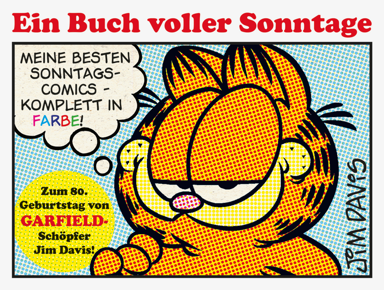 Garfield - Ein Buch voller Sonntage main product photo