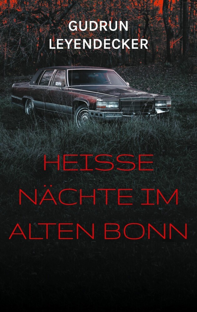 Heiße Nächte im alten Bonn main product photo