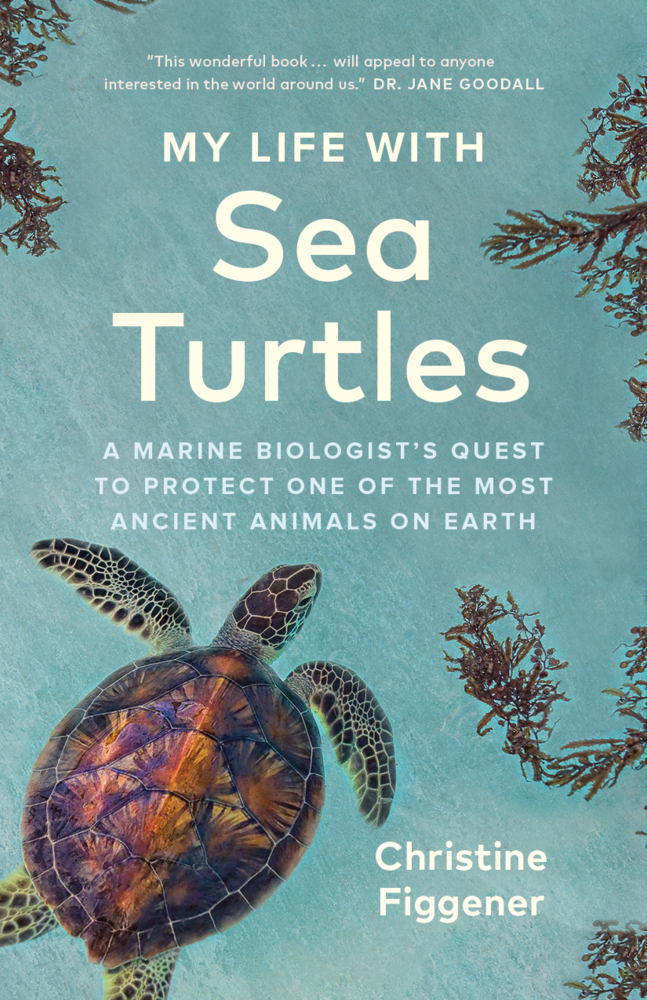 My Life with Sea Turtles main product photo