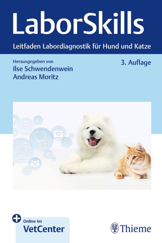 LaborSkills main product photo