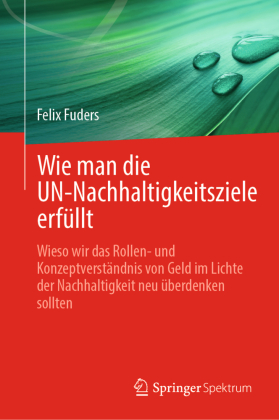 Wie man die UN-Nachhaltigkeitsziele erfüllt