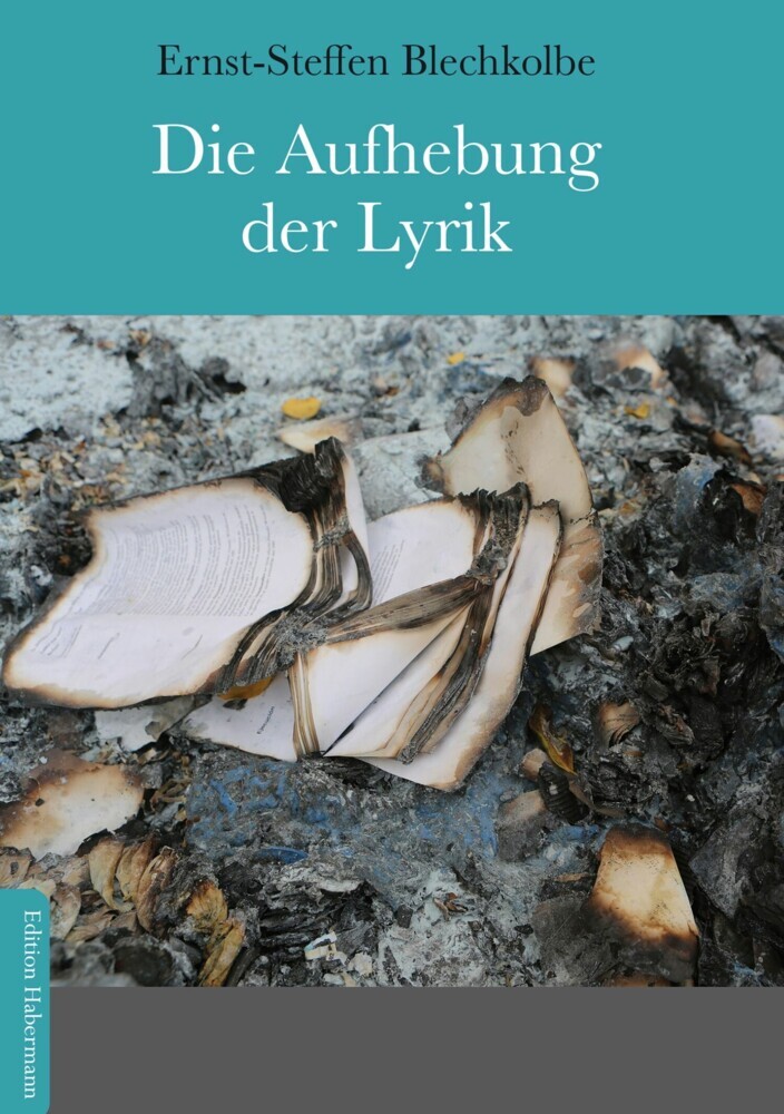Die Aufhebung der Lyrik main product photo