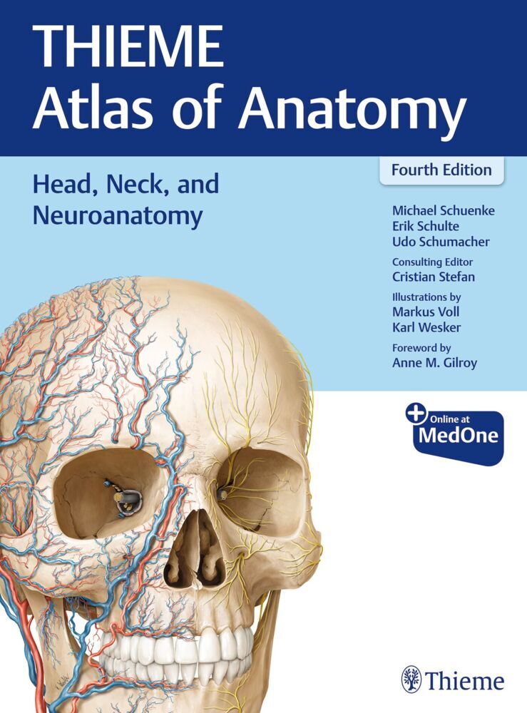 Head, Neck, and Neuroanatomy (THIEME Atlas of Anatomy) main product photo