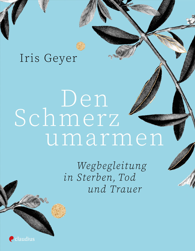 Den Schmerz umarmen main product photo
